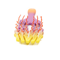 Rezo Bombay Detangle Styling Brush
